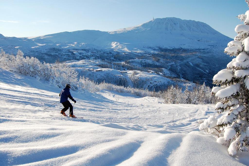 Kvitavatn Fjellhytter Villa Рюкан Екстериор снимка