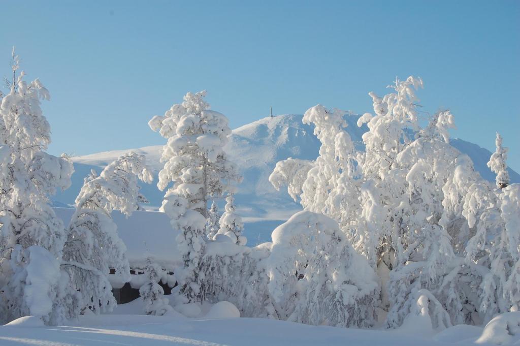 Kvitavatn Fjellhytter Villa Рюкан Екстериор снимка