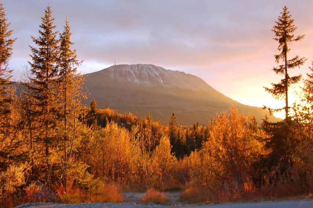 Kvitavatn Fjellhytter Villa Рюкан Екстериор снимка